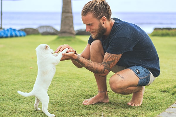 Kedi banyosu hakkında gerçekler