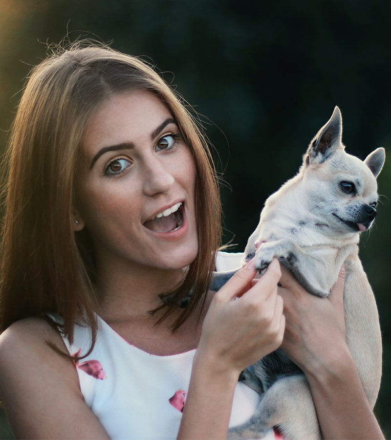 Pet kuaför özellikleri